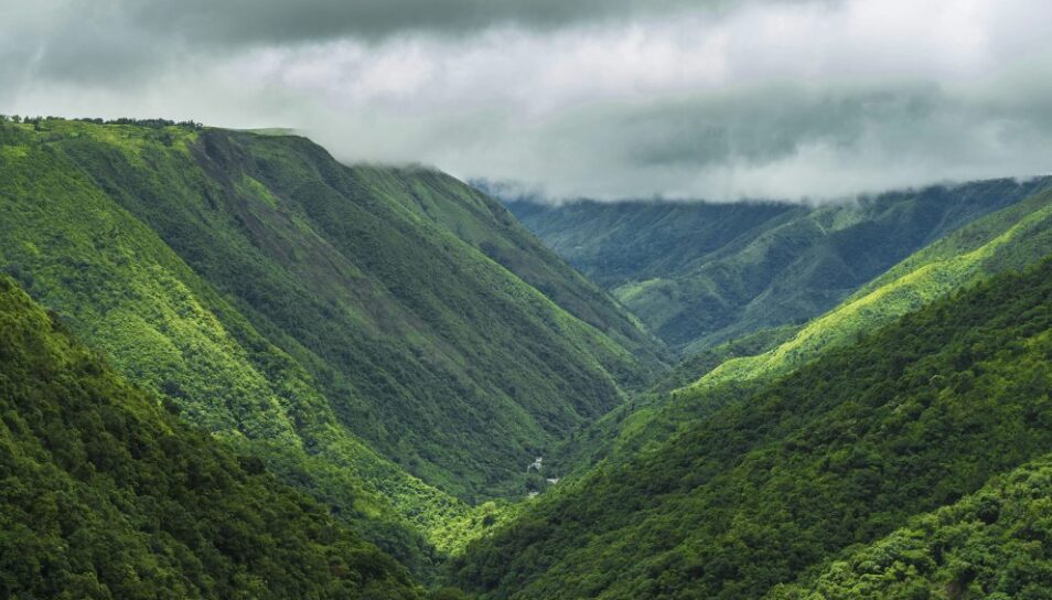 Tour to Mawkdok Dympep Valley Meghalaya