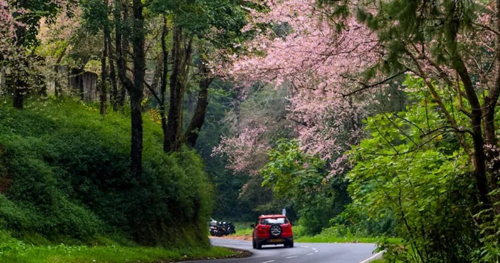 shillong-city-view-001